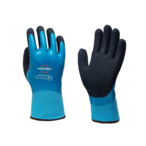 Proway Winter PWH-6810